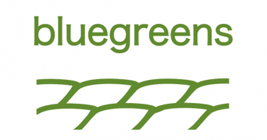 Логотип Bluegreens